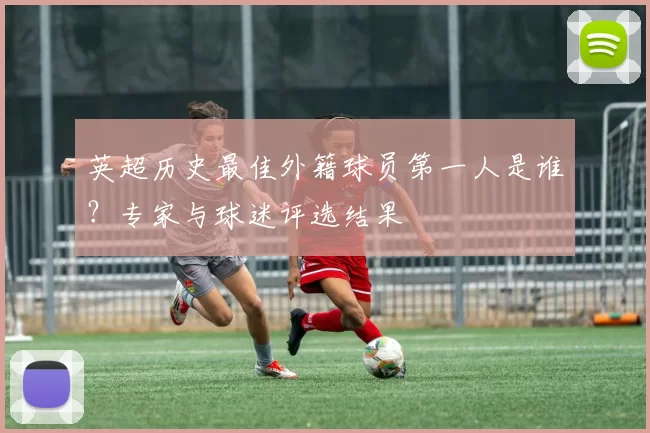 英超历史最佳外籍球员第一人是谁？专家与球迷评选结果