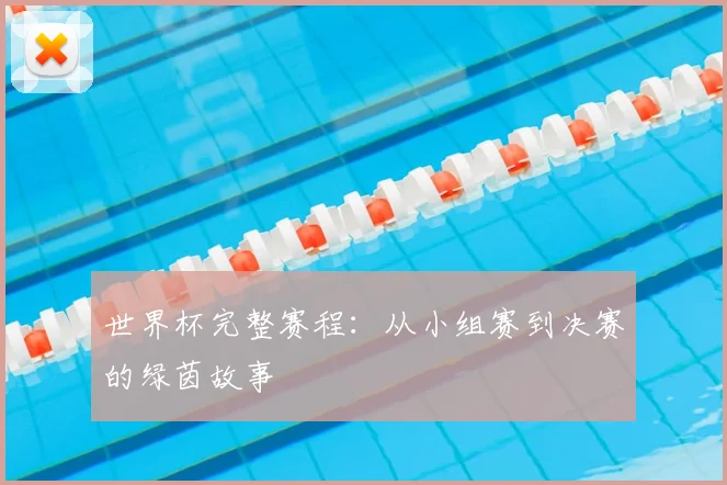 世界杯完整赛程：从小组赛到决赛的绿茵故事