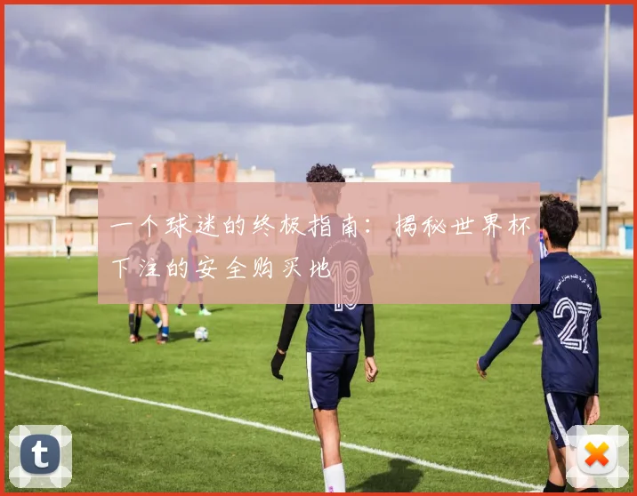 一个球迷的终极指南：揭秘世界杯下注的安全购买地