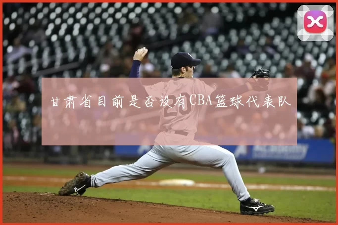 甘肃省目前是否设有CBA篮球代表队