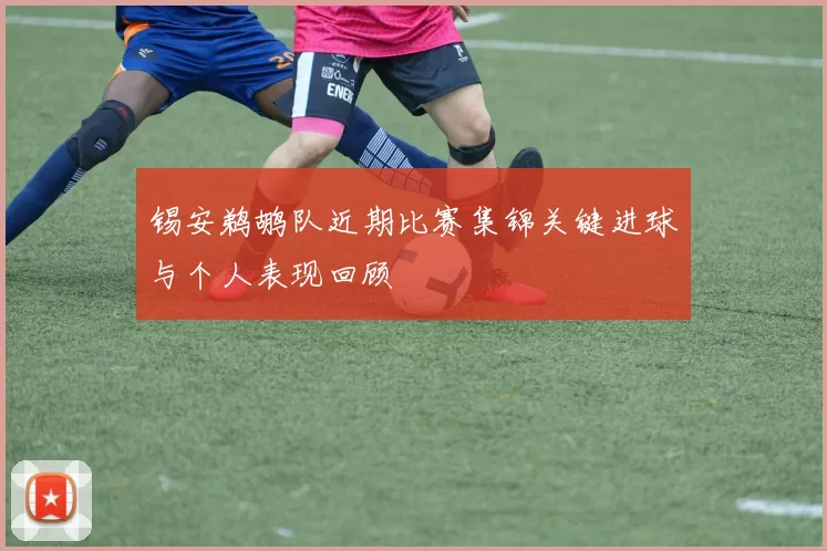 锡安鹈鹕队近期比赛集锦关键进球与个人表现回顾