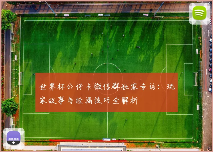 世界杯公仔卡微信群独家专访：玩家故事与捡漏技巧全解析