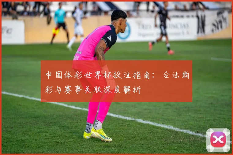 中国体彩世界杯投注指南：合法购彩与赛事关联深度解析