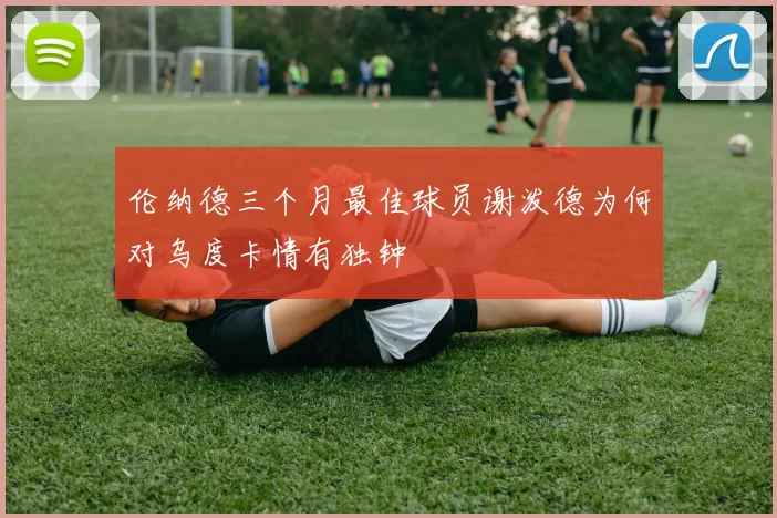 伦纳德三个月最佳球员谢泼德为何对乌度卡情有独钟