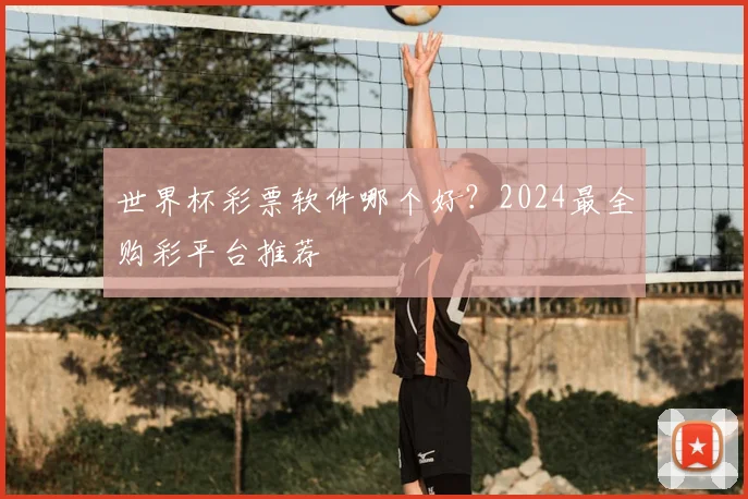 世界杯彩票软件哪个好？2024最全购彩平台推荐
