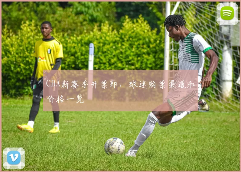 CBA新赛季开票即,球迷购票渠道和价格一览