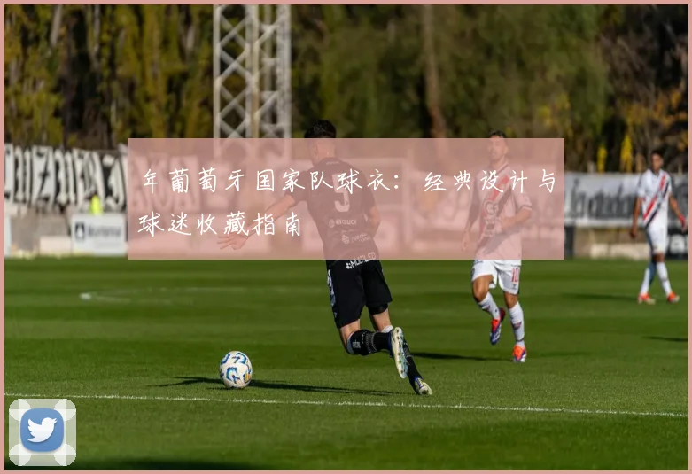 年葡萄牙国家队球衣：经典设计与球迷收藏指南