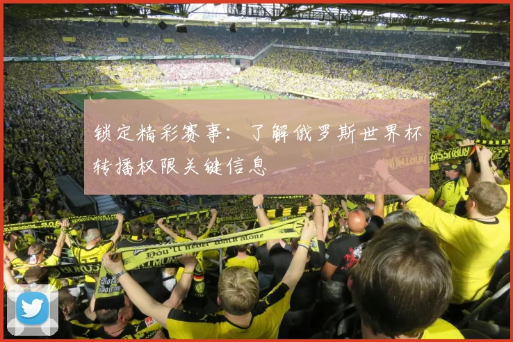 锁定精彩赛事：了解俄罗斯世界杯转播权限关键信息