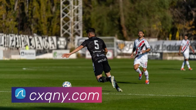 爱游戏官网平台生态图